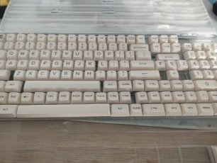 HSA Brown on White