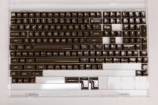 HSA Brown